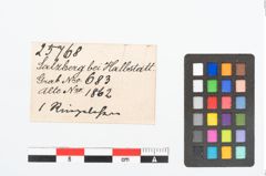 Etikett zu Bronzering (NHMW-PRAE-025768)